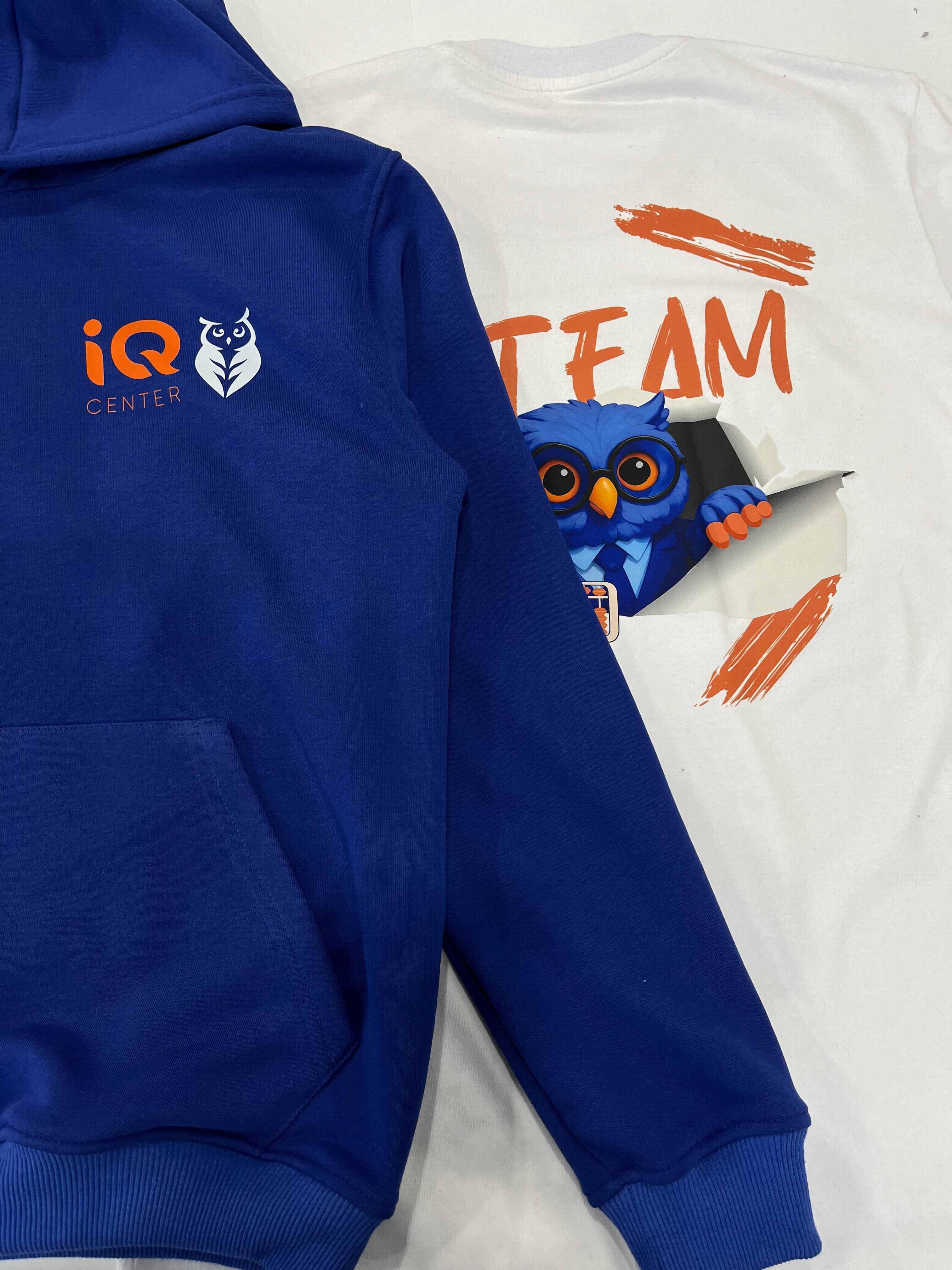 IQ Center project 4